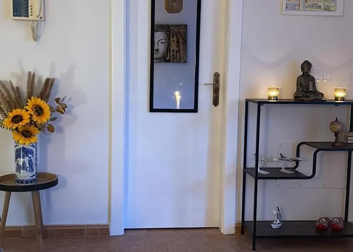 Apartment Casa Borrel